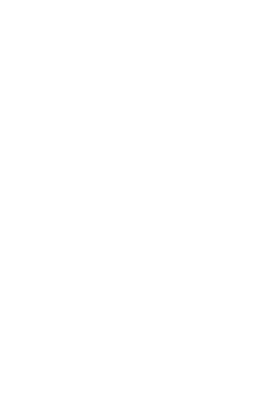 The Texan